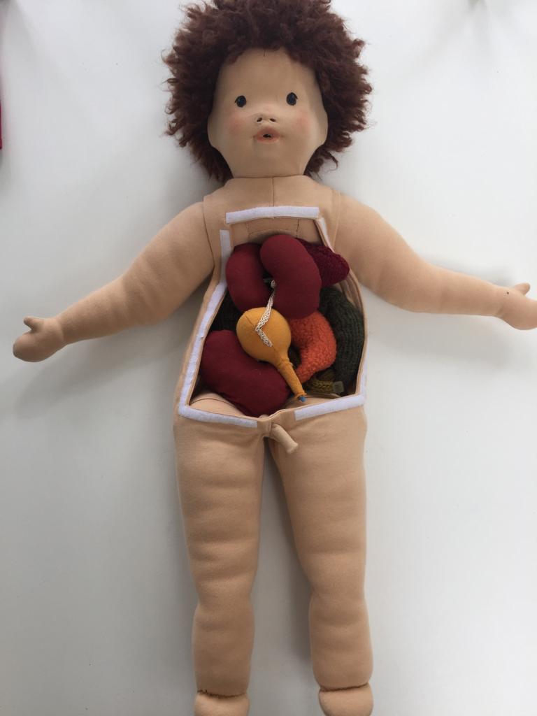 Nouvelle recrue en néphrologie pédiatrique : Billy/Billie