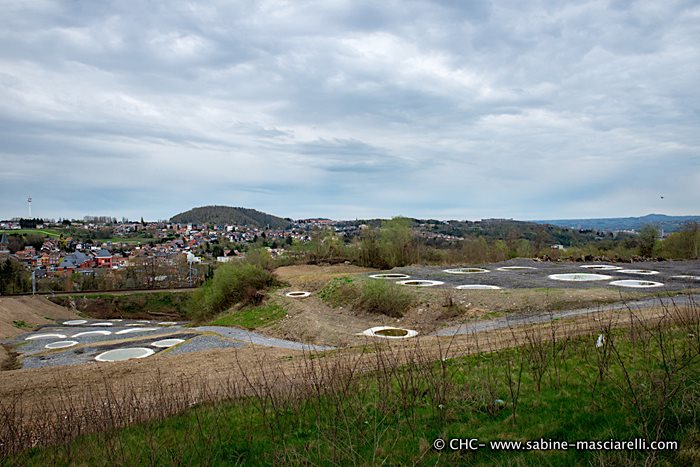 MSA_7749.jpg MSA_7749.jpg