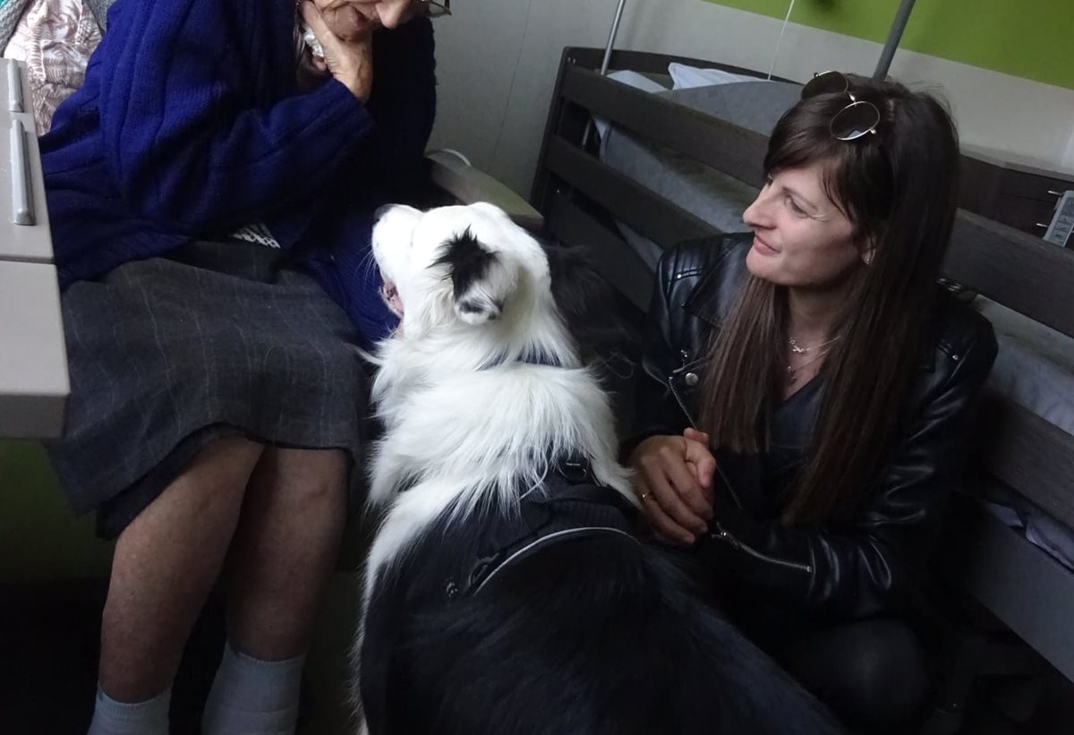 Un border collie en visite à la Résidence CHC Heusy