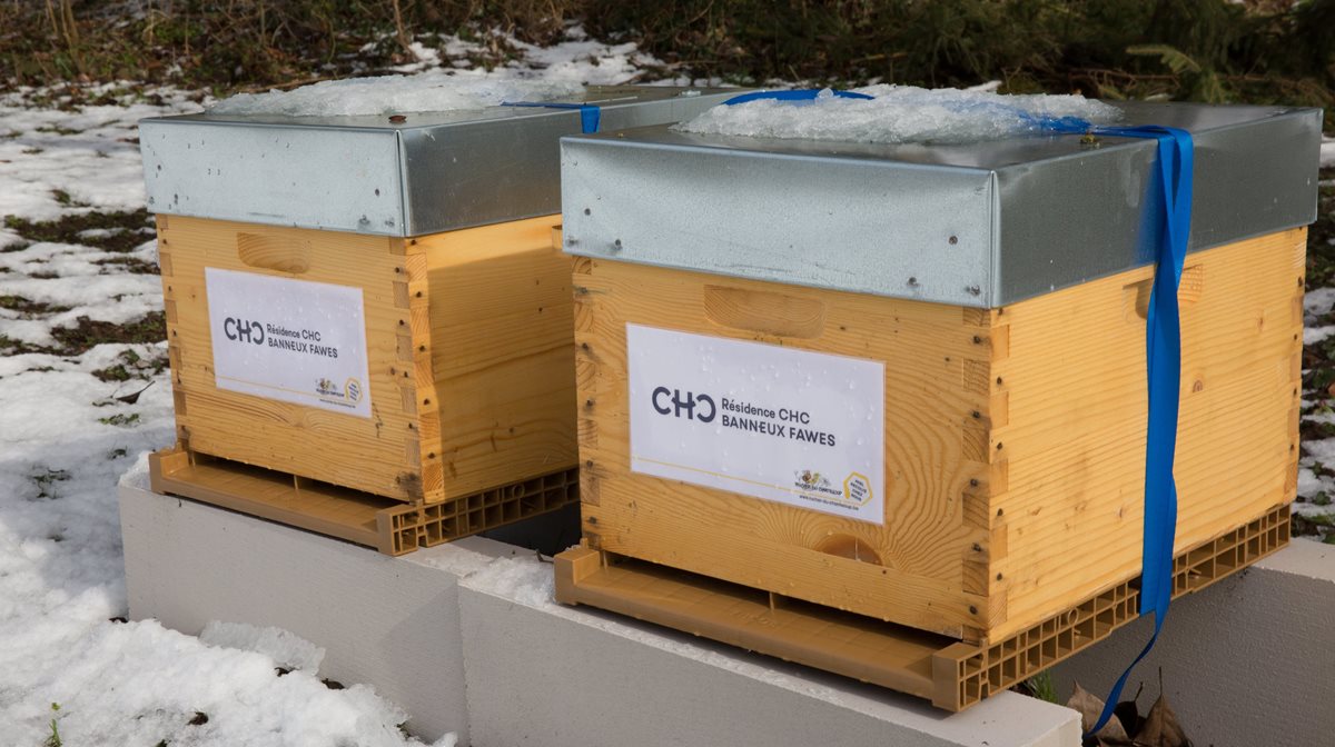 Installation de ruches à la Résidence CHC Banneux Fawes